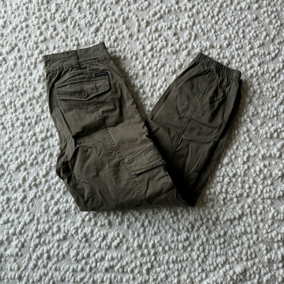 Sanctuary rebel cargo utility pant in hiker green - Picture 9 of 11